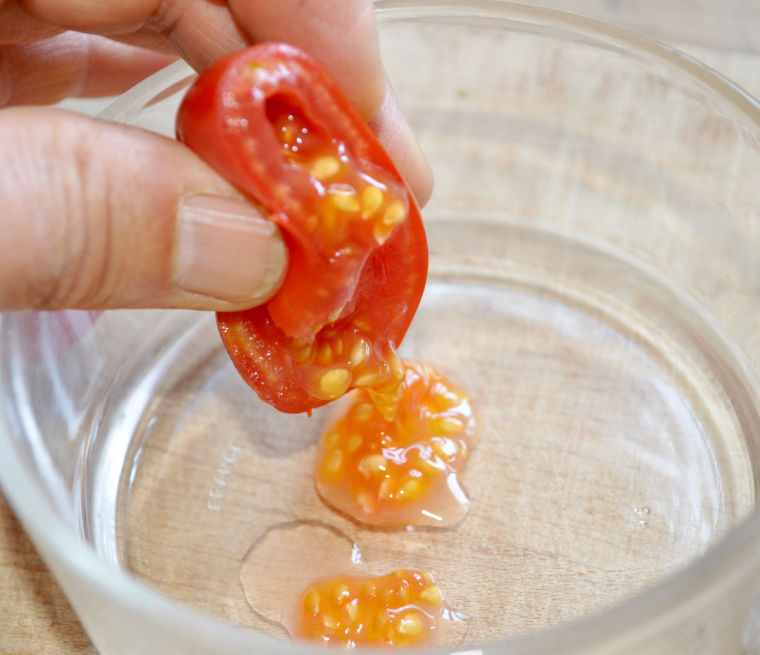 Tomatoes